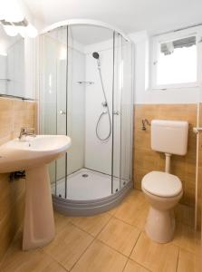 a bathroom with a shower and a toilet and a sink at Ridehouse in Schladming