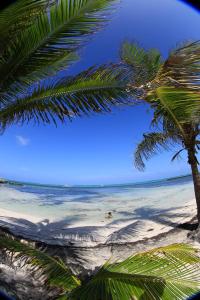 a view of a beach with palm trees and the ocean at Casa Brisa Guest House in San Pedro