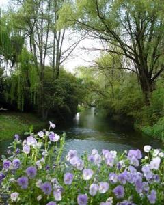 a river with purple flowers in front of a river with trees at Hotel L'Ultimo Mulino in Bannia