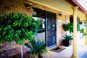 a brick building with a glass door with a tree at Clermont Country Motor Inn in Clermont