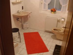 ein Badezimmer mit einem WC, einem Waschbecken und einem roten Teppich in der Unterkunft Ferienwohnungen Seidenweber in Schmallenberg + 29 Fotos
