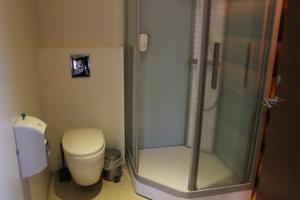 a shower stall with a toilet and a shower curtain at Welcome Lambafell in Eyvindarhólar