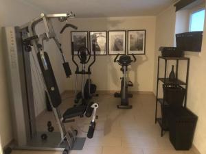 Fitness centrum a/nebo fitness zařízení v ubytování Boutiquehotel Säumler