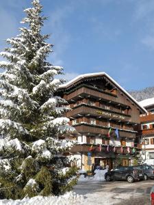 Hotel Alle Alpi v zimě