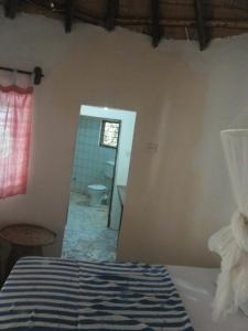 Billede fra billedgalleriet på Bendula i Tujering + 40 billeder