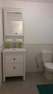 サンタ・クルス・デ・ラ・パルマにあるApartamento La Recovaのバスルーム(洗面台、トイレ、鏡付)