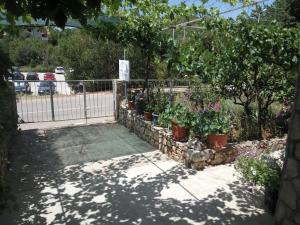 Vonkajšia záhrada v ubytovaní Guesthouse Eljuga Family
