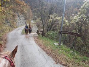 a group of people riding horses down a dirt road at Agriturismo Cà Sonino in Bettola