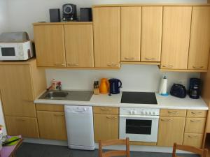 A kitchen or kitchenette at Apart Panoramablick