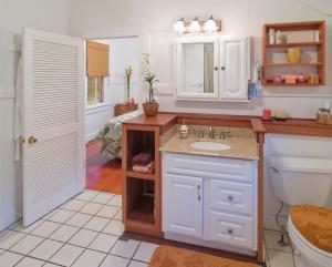 a bathroom with a sink and a toilet at Fern Grotto Inn in Kapaa