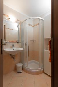 a bathroom with a shower and a sink at Guest House Pod Grebenom in Podčetrtek