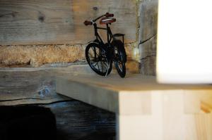 Jazda na bicykli v okolí ubytovania Kacza Chata - willa z jacuzzi