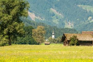 Naturlandschaft in der Nähe des Bed & Breakfasts