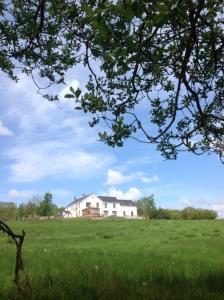 Nantgaredig的住宿－Penddaulwyn Uchaf Farm # Carmarthenshire，绿色田野中间的大房子