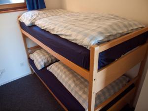 Dviaukštė lova arba lovos apgyvendinimo įstaigoje Chalet Bergfink