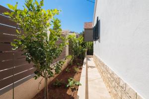 Zahrada ubytování Holiday Home Brac