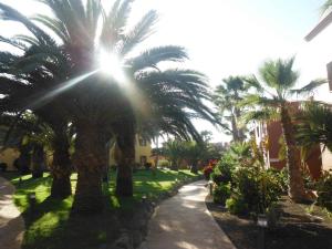 Zahrada ubytování Oasis vistamar