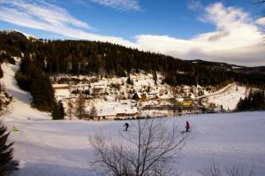 Moasterhaus Trialpark Salzstiegl durante el invierno