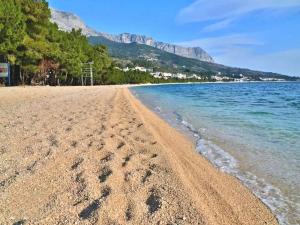 Φυσικό τοπίο κοντά σε αυτό το διαμέρισμα