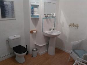 a bathroom with a toilet and a sink at Maison Lapeyriere in Le Dorat +20 photos