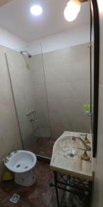 een badkamer met een wastafel, een douche en een toilet bij Departamento del Mar in Mar del Plata