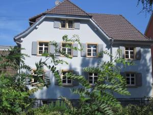 a white house with windows and plants at Maison Bleue Dreiländereck, Design Apartment mit Terrasse in historischem Landhaus nahe Basel in Kandern