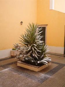 Fotografie z fotogalerie ubytování AQC - A Quinta Chama v destinaci Caldas da Rainha