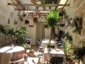une personne assise à une table dans une pièce avec des plantes dans l'établissement Hôtel Restaurant Le Provençal, au Grau-du-Roi