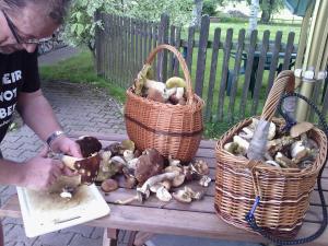 um homem a cortar cogumelos numa mesa de madeira com cestos em Penzion Bázum em Horní Vltavice