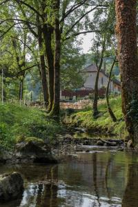 un ruisseau avec des arbres et une maison en arrière-plan dans l'établissement Domaine et chambres d'Hôtes des Fées, à Pretin