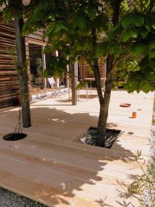 dos árboles en un patio junto a un edificio en Holzhaus, en Aix-en-Provence