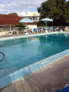 蒙特哥貝的住宿－Montego Bay Club-Delux Seaside condo，一个带蓝色椅子和遮阳伞的大型游泳池