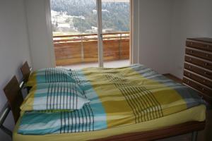 a bedroom with a bed with a large window at Haus Rufinis in Klosters