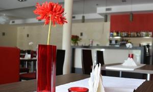 a red vase with a red flower in it on a table at Hotel Cynamon in Tokarnia