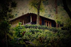 حديقة خارج Maskeli Oya Family Park