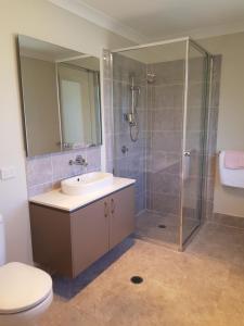 La salle de bains est pourvue d'une douche, d'un lavabo et de toilettes. dans l'établissement Blue on Cooper, à Katoomba