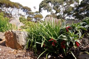 
a garden filled with lots of plants and shrubs at Cape Jervis Holiday Units in Cape Jervis
