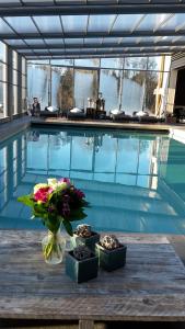 a vase of flowers on a table next to a swimming pool at Espace Bien Etre et Spa in Libin