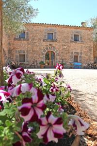 Edificio en el que se encuentra the country house