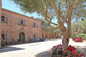 Edificio en el que se encuentra the country house