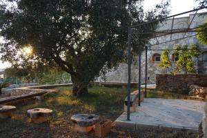 Zahrada ubytování Villa Le Macchie