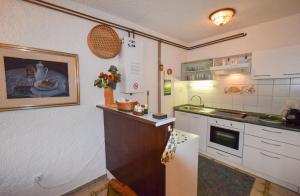 Kuchyň nebo kuchyňský kout v ubytování Apartment Petrlin + 10 fotografií