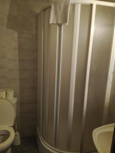a bathroom with a shower with a toilet and a sink at Hotel Berounka in Liblín +36 photos
