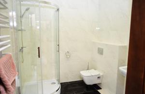 a bathroom with a toilet and a glass shower at Nashe Misto Guest House in Kovel