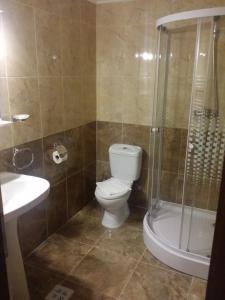 a bathroom with a toilet and a shower and a sink at Pensiunea Casiana in Ciulpăz +52 photos