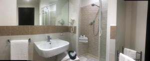 ein Bad mit einem Waschbecken und einer Dusche in der Unterkunft La Cupola del Vaticano in Rom