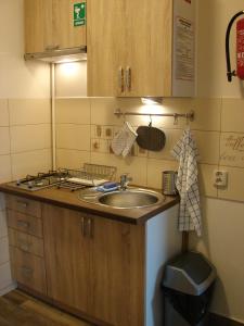cocina pequeña con fregadero y fogones en Krovo Apartments en Cracovia