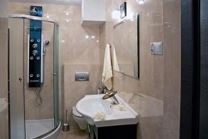 a bathroom with a sink and a shower and a toilet at Apartament Kryształowy in Krynica Zdrój