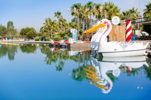 a white swan in the water next to a boat at Club Mac Alcudia in Port d'Alcudia