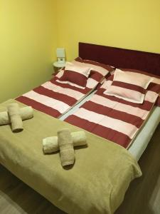 BB Apartman 7773 Villány, Oportó utca 2. kép - 2